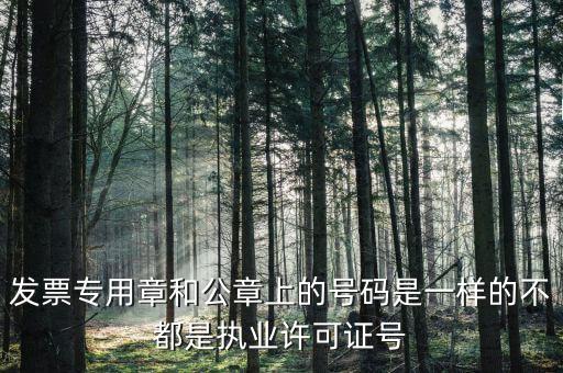 公章和發(fā)票章號碼是什么，發(fā)票專用章和公章上的號碼是一樣的不都是執(zhí)業(yè)許可證號