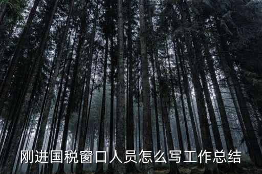 在國(guó)稅上班有什么感想，我是合同員工到國(guó)稅局上班一個(gè)月心得體會(huì)
