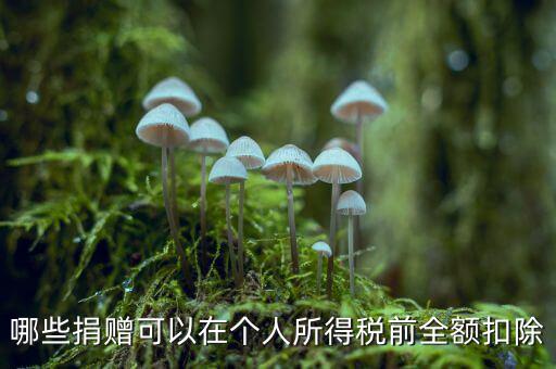 什么捐贈可以稅前扣除，求助企業(yè)在所得稅前可以扣除的捐贈支出