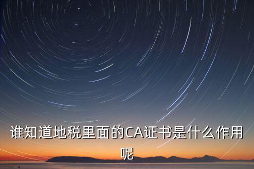 地稅安徽ca是什么意思，什么是國稅CA和地稅CA他是具體干什么用的