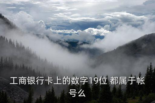 工行19位賬號(hào)應(yīng)用號(hào)是什么，請(qǐng)解釋工商銀行19位帳號(hào)的組成含義