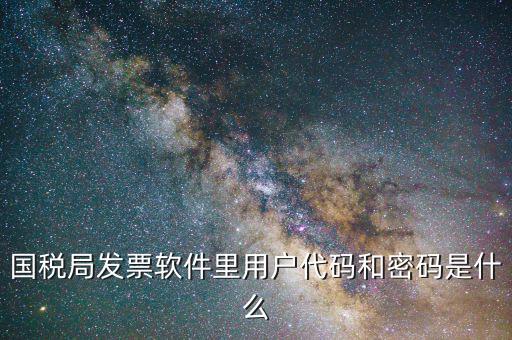 發(fā)票認(rèn)證平臺(tái)登錄密碼是什么情況，國(guó)稅局發(fā)票軟件里用戶(hù)代碼和密碼是什么