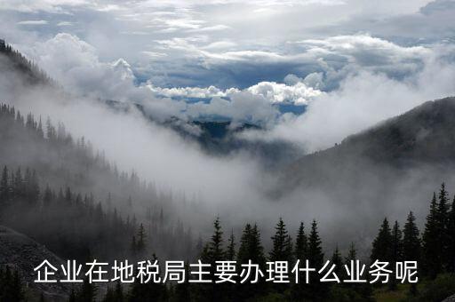 廣州地稅辦理什么業(yè)務，廣州稅務登記