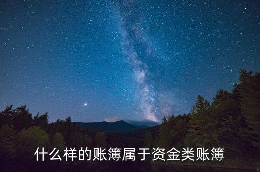 什么叫做資金賬簿，資金賬簿是總賬還是明細(xì)賬