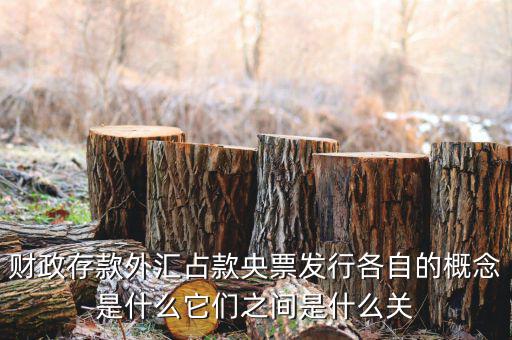 財政存款外匯占款央票發(fā)行各自的概念是什么它們之間是什么關