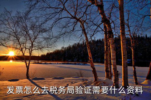 到稅務(wù)局認(rèn)證發(fā)票需要帶什么，去稅務(wù)局認(rèn)證發(fā)票需要帶什么資料呢