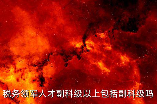 國稅領軍人才考什么用，稅務領軍人才副科級以上包括副科級嗎