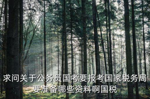 求問(wèn)關(guān)于公務(wù)員國(guó)考要報(bào)考國(guó)家稅務(wù)局要準(zhǔn)備哪些資料啊國(guó)稅