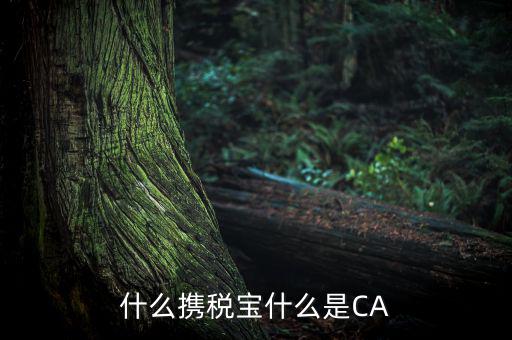 青島國(guó)稅ca證書(shū)是什么，什么攜稅寶什么是CA