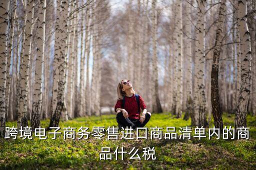 跨境電商應(yīng)交什么稅，跨境電商要繳納哪些稅