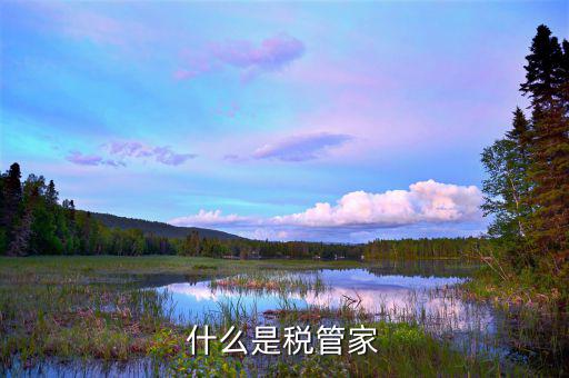 財稅大管家干什么用的，大管家金服是做什么的呀
