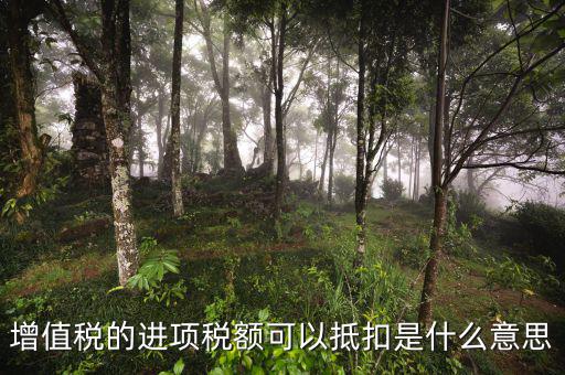 進(jìn)項(xiàng)抵扣是什么，增值稅的進(jìn)項(xiàng)稅額可以抵扣是什么意思