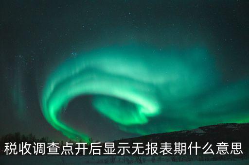 稅收調(diào)查什么意思，登錄用戶無(wú)權(quán)訪問(wèn)任務(wù)2015年度全國(guó)稅收調(diào)查是什么意思