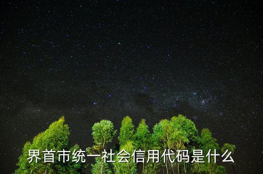 統(tǒng)一社會(huì)信用代碼指什么，深圳碼統(tǒng)一社會(huì)信用代碼是什么