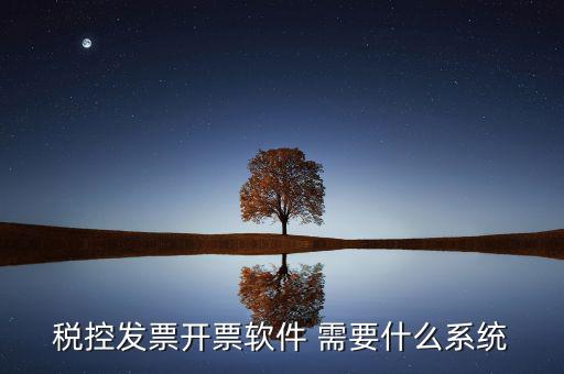 稅務(wù)開票系統(tǒng)都有什么，什么是開票系統(tǒng)小規(guī)模納稅人有裝開票系統(tǒng)嗎在線等謝謝