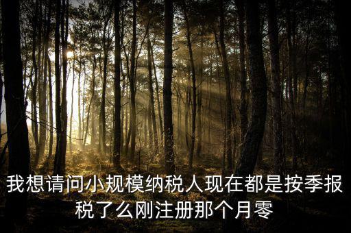 小規(guī)模什么時(shí)候零申報(bào)，增值稅小規(guī)模納稅人免稅零申報(bào)的歸屬期間