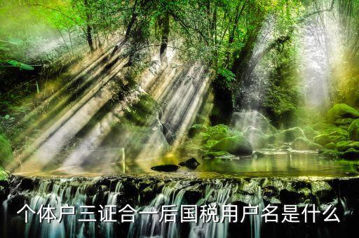三證合一叫什么名字，個(gè)體戶三證合一后國稅用戶名是什么
