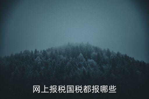 國稅云辦稅廳都報什么，你好我是新手我想問一下前輩國稅每月季年都報什么報表