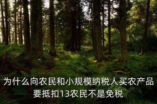 農(nóng)產(chǎn)品為什么要扣除，為什么向農(nóng)民和小規(guī)模納稅人買(mǎi)農(nóng)產(chǎn)品要抵扣13農(nóng)民不是免稅