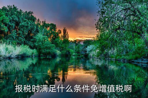 什么情況免征增值稅，哪些屬于免征增值稅