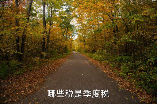 按季度交什么稅，哪些稅是季度稅