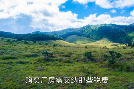 公司買廠房要交什么稅，購買廠房需交納那些稅費