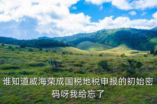 山東默認國稅密碼是什么，登錄國稅網上辦稅服務廳的用戶名和密碼是什么