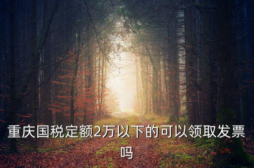 重慶用的什么定額發(fā)票，重慶國稅定額2萬以下的可以領取發(fā)票嗎