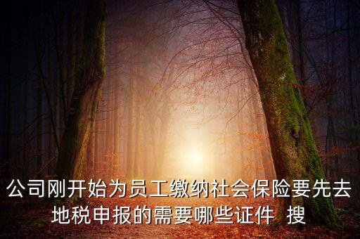 公司剛開(kāi)始為員工繳納社會(huì)保險(xiǎn)要先去地稅申報(bào)的需要哪些證件  搜