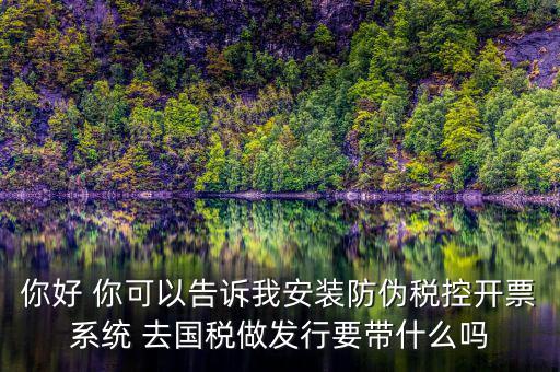 稅控發(fā)行是要做什么，稅控盤發(fā)行都呆哪些東西去稅務(wù)局需要法人去嗎