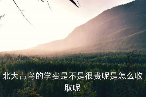 國稅局安靜工程是什么，北大青鳥的學(xué)費是不是很貴呢是怎么收取呢