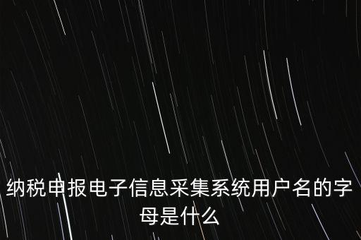 江蘇國(guó)稅電子稅務(wù)局登錄用戶名是什么意思，江蘇國(guó)稅網(wǎng)上辦稅服務(wù)廳的用戶名是什么