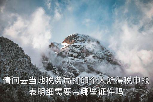 請(qǐng)問(wèn)去當(dāng)?shù)囟悇?wù)局打印個(gè)人所得稅申報(bào)表明細(xì)需要帶哪些證件嗎