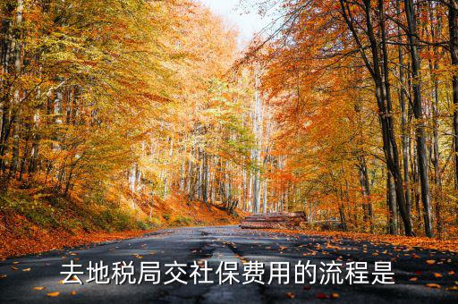 地稅局交社保需要什么手續(xù)費，去地稅局交社保費用的流程是