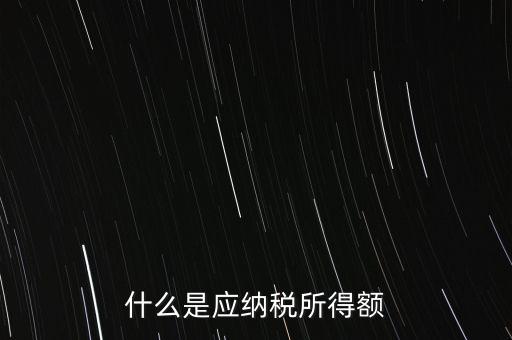 什么是年應(yīng)納稅所得額，什么是應(yīng)納稅所得額