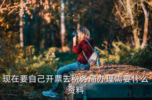 自己開(kāi)專票要什么資料，開(kāi)個(gè)人增值稅發(fā)票需要什么資料