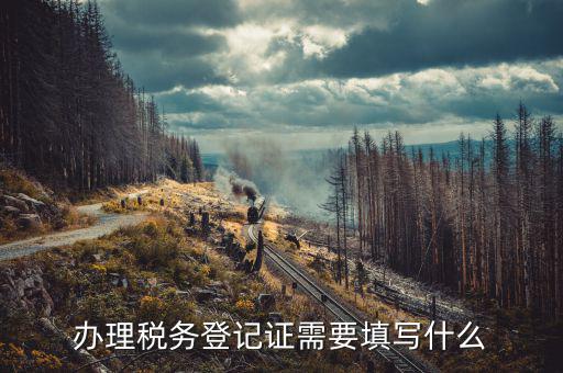 稅務登記地址填什么，填寫稅務登記地址是證件上的經(jīng)營地址還是批準設立機關的地址