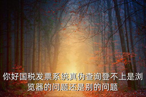 國稅登不上什么情況，為什么稅號密碼都對還是無法登錄國稅