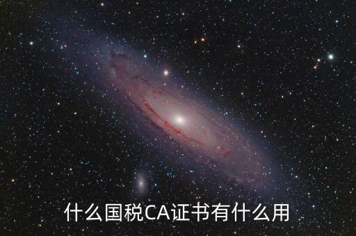 國稅ca登錄是什么，什么國稅CA證書有什么用