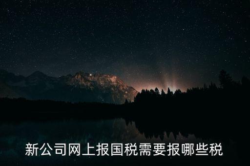 新公司網上報國稅需要報哪些稅