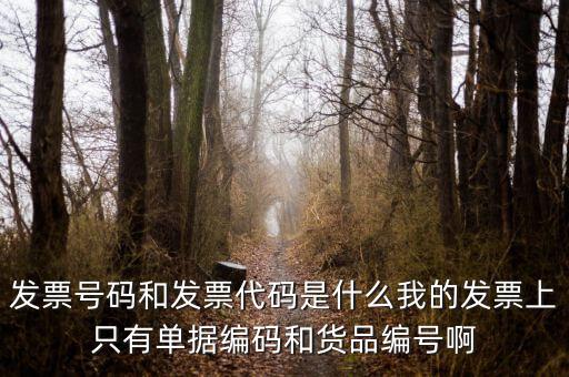 發(fā)票結(jié)存號碼是什么，發(fā)票號碼是指哪個(gè)號碼