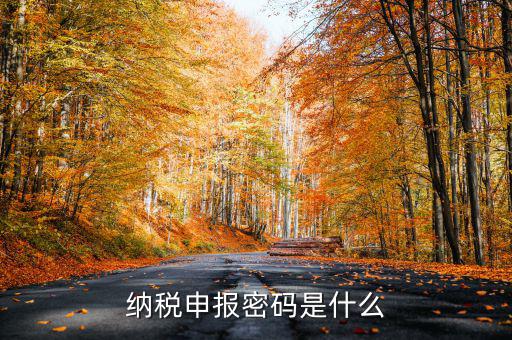 怎樣查地稅密碼是什么，稅務數(shù)字證書密碼忘記或鎖定如何解決