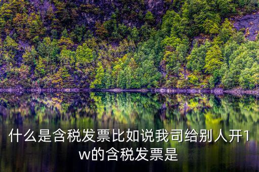 什么行業(yè)一般人發(fā)票含稅，什么類納稅人可以開增值稅專用發(fā)票
