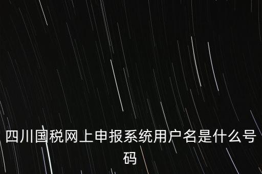 四川省地方稅務(wù)局登錄賬號是什么，在網(wǎng)上報稅登陸時用戶名是什么