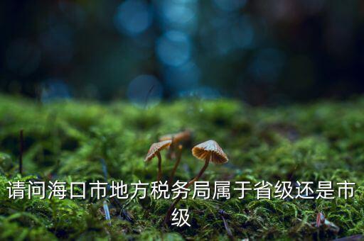 請(qǐng)問?？谑械胤蕉悇?wù)局屬于省級(jí)還是市級(jí)