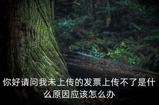 發(fā)票沒上傳什么意思，發(fā)票系統(tǒng)顯示O張未上傳發(fā)票可是在查不到提示查無此票怎么回