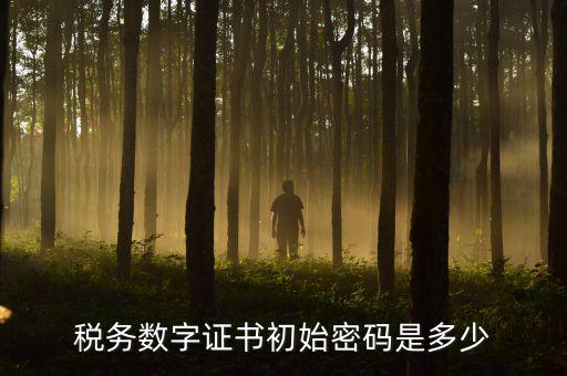 地稅數(shù)字證書的密碼是什么，稅控證書密碼是多少只有可能是8位嗎