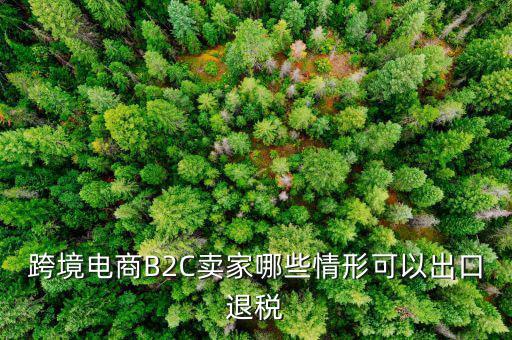 什么情況退稅，跨境電商B2C賣(mài)家哪些情形可以出口退稅