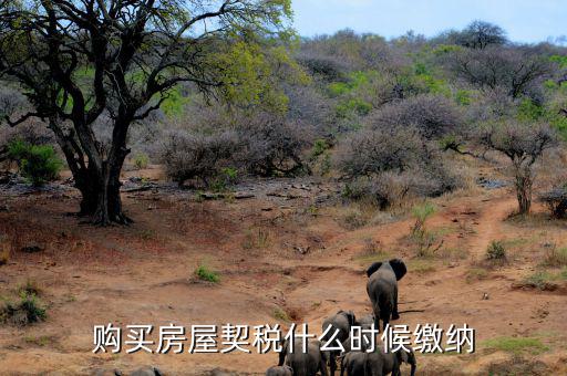 鶴壁契稅什么時(shí)候交，什么時(shí)間繳納契稅