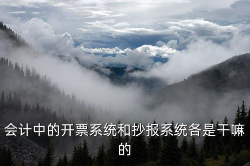 報(bào)稅開票系統(tǒng)是什么意思，每個月一號重登金稅盤開票系統(tǒng)是什么意思